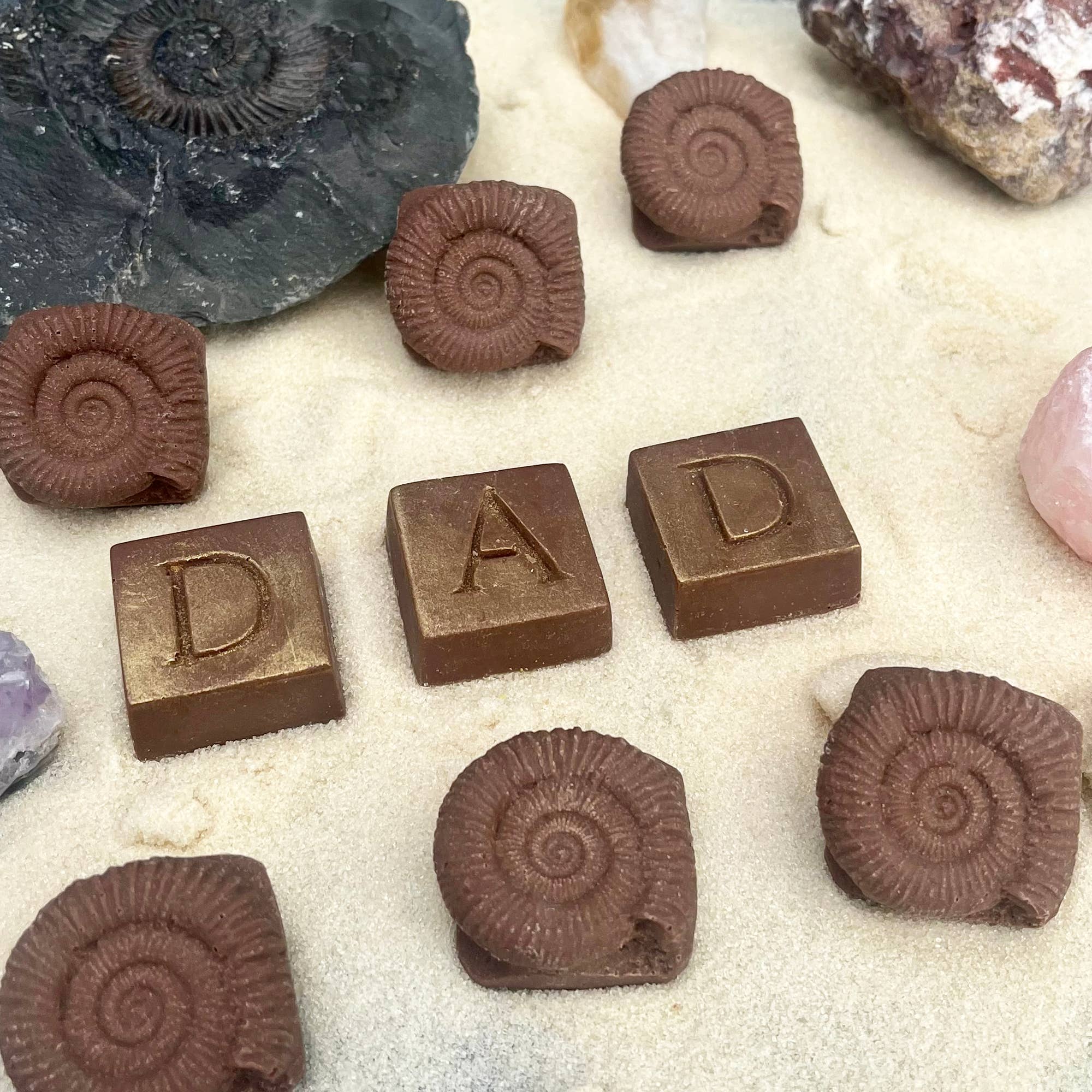 My Favourite Old Fossil Chocolate Box